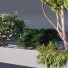 Arbres et buissons HQ Boîte de Jardin Extérieur Volume 02 - Pandora-land