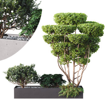 Drzewa i krzewy HQ Garden Box Outdoor Vol 02