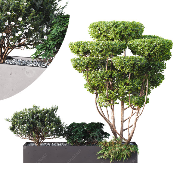Arbres et buissons HQ Boîte de Jardin Extérieur Volume 02 modèle 3D