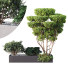 Arbres et buissons HQ Boîte de Jardin Extérieur Volume 02 - Pandora-land