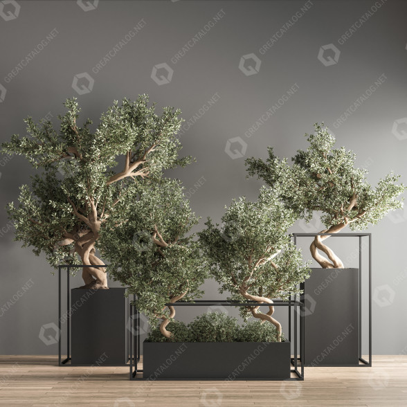 Bonsáis Conjunto de interior 24 Modelo 3D