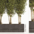 Arbustos Conjunto de interior 06 - Haniezzatpur