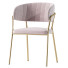 Chair Kamelia - zvezdaboy