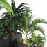 Pflanzen und Dekoration HQ Set Baum und Busch Gartenbox im Freien Band 09 - Pandora-land