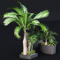 Pflanzen und Dekoration HQ Set Baum und Busch Gartenbox im Freien Band 09 - Pandora-land
