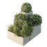 Krzewy HQ Garden Box Outdoor VOL 10 - Pandora-land