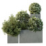 Krzewy HQ Garden Box Outdoor VOL 10 - Pandora-land