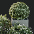 Krzewy HQ Garden Box Outdoor VOL 10 - Pandora-land