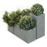 Krzewy HQ Garden Box Outdoor VOL 10 - Pandora-land