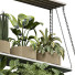 Plantes en pot Intérieur 429 - uniquevry