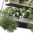 Plantes en pot Intérieur 429 - uniquevry