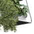 Plantes en pot Intérieur 429 - uniquevry
