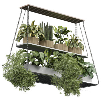 Plantes en pot  Intérieur 429 Modèle 3D