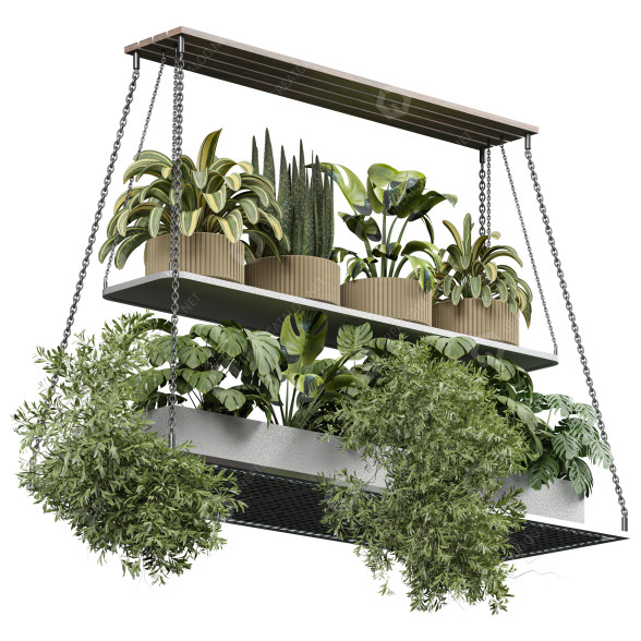 Plantes en pot Intérieur 429 modèle 3D