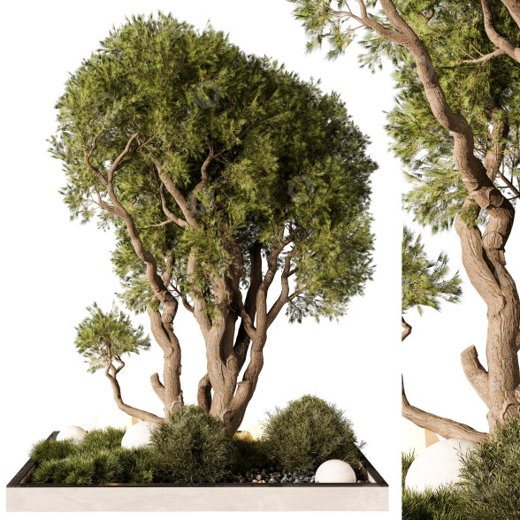 Arbres et buissons Plante en extérieur 247 modèle 3D