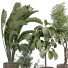 Plantes en pot Plantes d'intérieur 428 - uniquevry