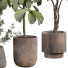 Plantes en pot Plantes d'intérieur 428 - uniquevry