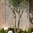 Drzewa i krzewy Indoor Plant 427 - uniquevry