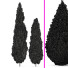 Drzewa Cypress 2 - Pandora-land