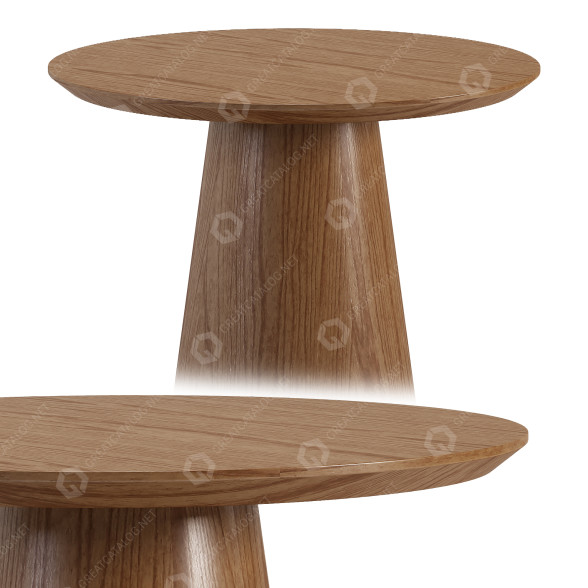 Table Conical 3D model