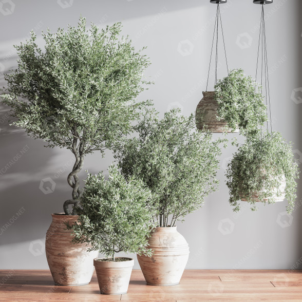 Topfpflanzen Innenset 047 3D-Modell