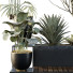 Plantas y banco HQ Conjunto de entorno urbano Verde 02 - Pandora-land