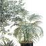 Plantas y banco HQ Conjunto de entorno urbano Verde 02 - Pandora-land