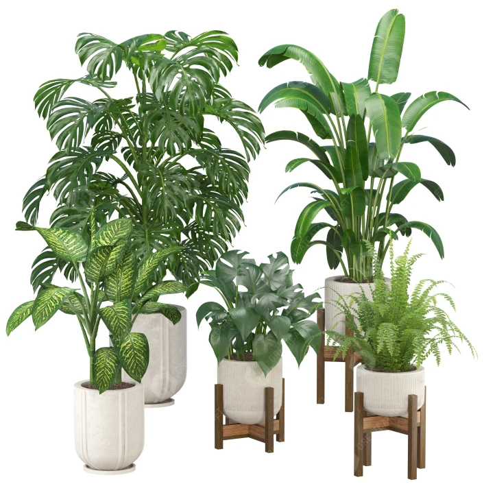 Растения в горшках Комплект для помещений 3D модель - GreatCatalog 35587