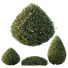 Krzewy HQ Plants Montra Olive Version 5 - Pandora-land