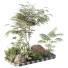 Árbol y arbustos HQ Vol 14 - Pandora-land