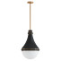 Lampa wisząca Hinkley Oliver - SH.X