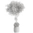 Planta en maceta Olivo y maceta de concreto - ayda.saadatmand-39287