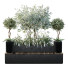 Plantas y banco HQ Conjunto de entorno urbano Verde 04 - Pandora-land