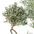 Plantas y banco HQ Conjunto de entorno urbano Verde 04 - Pandora-land