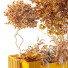Plantas y banco HQ Conjunto de entorno urbano Verde 04 - Pandora-land