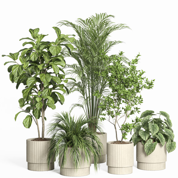 Plantas en macetas Conjunto de interior 58 Maceta de Hormigón Modelo 3D