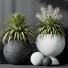 Rośliny doniczkowe HQ Plants Yucca Elephantipes Rupicola Vase Set 01 - Pandora-land
