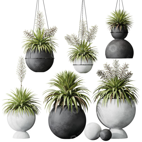Rośliny doniczkowe HQ Plants Yucca Elephantipes Rupicola Vase Set 01 model 3D