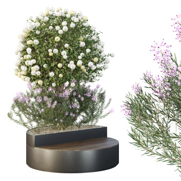 Pflanzen und Bänke HQ Set Baum und Busch Gartenbox im Freien Band 20