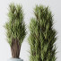 Rośliny doniczkowe HQ Yucca Elephantipes Gigantea Vase Set 05 - Pandora-land