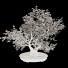 Bonsai-Baum Kirschblüte - Reihane