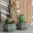 Декор Smeg Accessories 10 - bahartanhaee