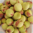 Obst Peaches in Plate - bahartanhaee
