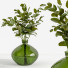Blumensträuße Set Eukalyptus - bahartanhaee