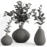 Blumensträuße Set Eukalyptus - bahartanhaee