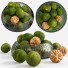 Obst Tangerines in Bowl - bahartanhaee
