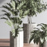Plantes en pot Ensemble intérieur 049 - nasrinrad