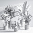 Plantes en pot Ensemble intérieur 049 - nasrinrad