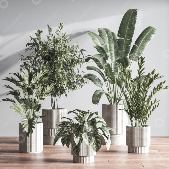 Plantes en pot Ensemble intérieur 049 modèle 3D