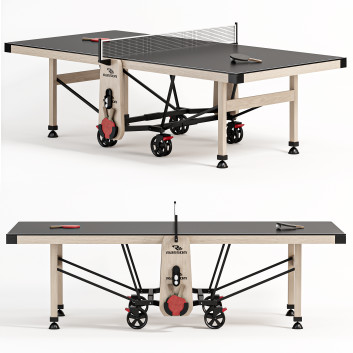 Тенісний стіл Rasson Premium W2266 Ping Pong 3D модель